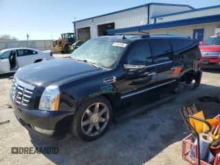 2010 Cadillac Escalade ESV Premium with VIN 1GYUKJEF4AR112581, listed as a Copart auction lot 50363955 with 209,412 mi miles and Non repairable. Bid and sale history available at DreamBid. Image 1.