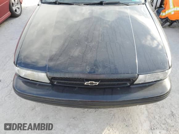 1995 Chevrolet Caprice с VIN 1G1BL52P9SR126730, выставлен на аукционе Copart как лот 75273934 с пробегом Не указан миль и Списание • Salvage title. История ставок и продаж доступна на DreamBid. Изображение 11.