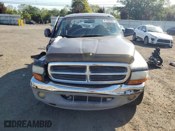 2003 Dodge Dakota SLT с VIN 1D7HG48N43S202683, выставлен на аукционе Copart как лот 81282665 с пробегом 167 450 миль миль и Списание • Salvage title. История ставок и продаж доступна на DreamBid. Изображение 5.