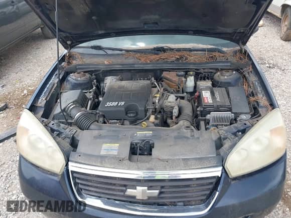 2006 Chevrolet Malibu Maxx LT z VIN 1G1ZT61896F267027, wystawiony jako IAAI lot #42655340 z przebiegiem 246 434 mil mil oraz . Historia ofert i sprzedaży dostępna na DreamBid. Obrazek 10.