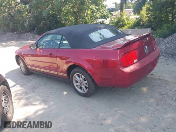 2006 Ford Mustang Standard с VIN 1ZVFT84N865222011, выставлен на аукционе IAAI как лот 42523400 с пробегом 234 756 миль миль и . История ставок и продаж доступна на DreamBid. Изображение 3.