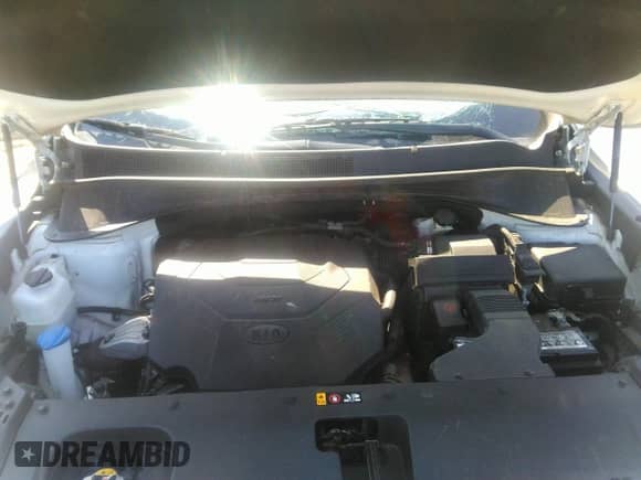 2019 Kia Sorento LX with VIN 5XYPG4A5XKG551092, listed as a IAAI auction lot 43081820 with 119,891 mi miles and . Bid and sale history available at DreamBid. Image 10.