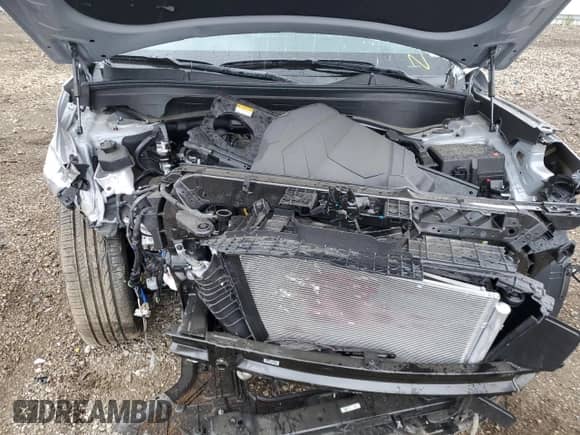 2025 Hyundai Palisade Calligraphy z VIN KM8R7DGEXSU929146, wystawiony jako Copart lot #66885395 z przebiegiem Nie podano mil oraz Szkoda całkowita • Salvage title. Historia ofert i sprzedaży dostępna na DreamBid. Obrazek 11.