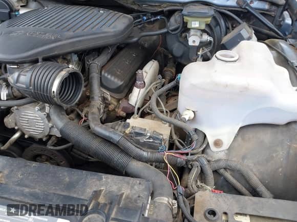 1995 Chevrolet Caprice с VIN 1G1BL52W3SR186994, выставлен на аукционе IAAI как лот 42938487 с пробегом Не указан миль и . История ставок и продаж доступна на DreamBid. Изображение 6.