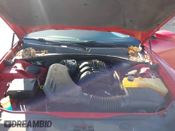 2011 Dodge Charger SE с VIN 2B3CL3CG3BH553398, выставлен на аукционе IAAI как лот 43546353 с пробегом 121 938 миль миль и . История ставок и продаж доступна на DreamBid. Изображение 10.