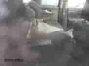 2020 Hyundai Santa Fe Limited with VIN 5NMS53AA5LH194645, listed as a Copart auction lot 63310642 with Not provided miles and . Bid and sale history available at DreamBid. Image 6.