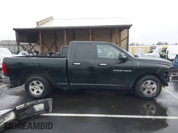 2011 Ram 1500 ST with VIN 1D7RB1GP4BS512156, listed as a IAAI auction lot 41219015 with 206,693 mi miles and . Bid and sale history available at DreamBid. Image 14.