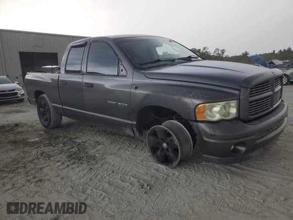 2002 Dodge 1500 with VIN 1D7HA18Z82J142947, listed as a Copart auction lot 69223505 with 169,266 mi miles and Salvage title. Bid and sale history available at DreamBid. Image 4.