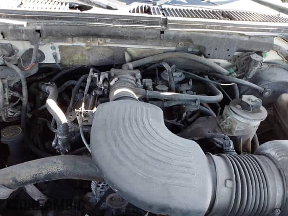 2003 Ford F-150 XLT z VIN 1FTRW08L83KB68708, wystawiony jako IAAI lot #43352025 z przebiegiem Nie podano mil oraz . Historia ofert i sprzedaży dostępna na DreamBid. Obrazek 10.