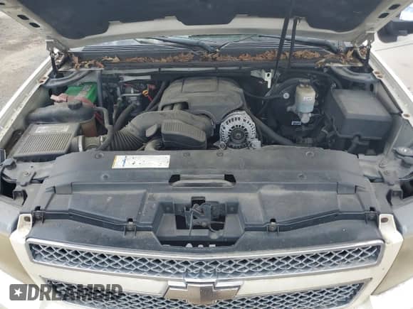 2008 Chevrolet Avalanche 2LT with VIN 3GNEC12048G233569, listed as a Copart auction lot 56966565 with 17,228 mi miles and Salvage title. Bid and sale history available at DreamBid. Image 11.
