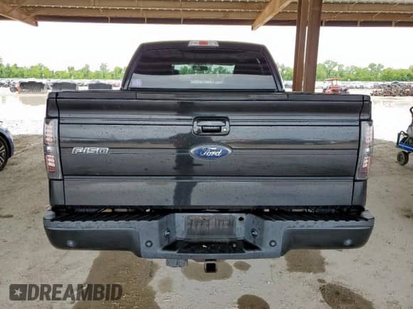 2010 Ford F-150 XL with VIN 1FTEW1C88AKE25757, listed as a Copart auction lot 63855615 with 124,244 mi miles and Clean title. Bid and sale history available at DreamBid. Image 6.