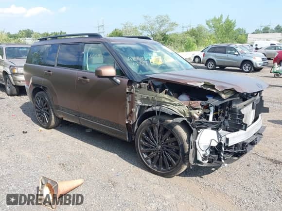 2024 Hyundai Santa Fe Calligraphy с VIN 5NMP54GL9RH043756, выставлен на аукционе IAAI как лот 42838605 с пробегом 20 117 миль миль и . История ставок и продаж доступна на DreamBid. Изображение 1.
