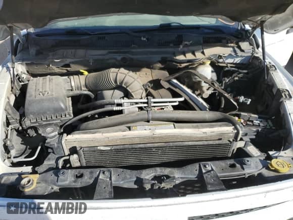 2010 Dodge 1500 ST with VIN 1D7RB1CTXAS178717, listed as a Copart auction lot 45199405 with 298,140 mi miles and Salvage title. Bid and sale history available at DreamBid. Image 11.