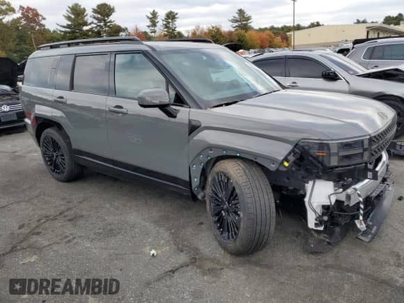 2025 Hyundai Santa Fe Calligraphy с VIN 5NMP5DG19SH017520, выставлен на аукционе Copart как лот 76859054 с пробегом 54 миль миль и Списание • Salvage title. История ставок и продаж доступна на DreamBid. Изображение 4.