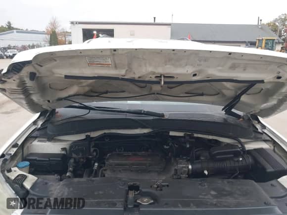 2006 Honda Pilot EX-L z VIN 2HKYF18596H515811, wystawiony jako IAAI lot #43464217 z przebiegiem 221 129 mil mil oraz . Historia ofert i sprzedaży dostępna na DreamBid. Obrazek 10.