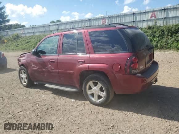 2009 Chevrolet TrailBlazer 1LT с VIN 1GNDT33S692102497, выставлен на аукционе Copart как лот 80530635 с пробегом 312 253 миль миль и Чистый • Clean title. История ставок и продаж доступна на DreamBid. Изображение 2.