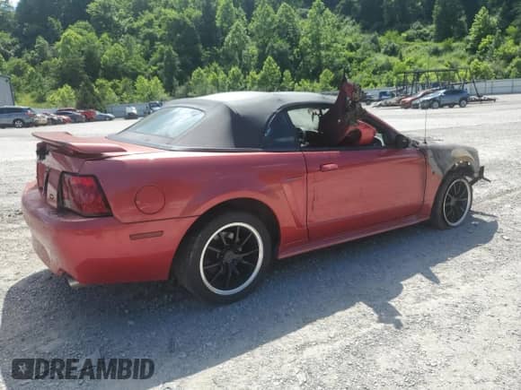 2001 Ford Mustang SVT Cobra z VIN 1FAFP46V61F219579, wystawiony jako Copart lot #61029845 z przebiegiem Nie podano mil oraz Szkoda całkowita • Salvage title. Historia ofert i sprzedaży dostępna na DreamBid. Obrazek 3.