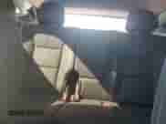 2023 Chevrolet Blazer LT с VIN 3GNKBJRS0PS231407, выставлен на аукционе Copart как лот 54514115 с пробегом 78 132 миль миль и Списание • Salvage title. История ставок и продаж доступна на DreamBid. Изображение 10.