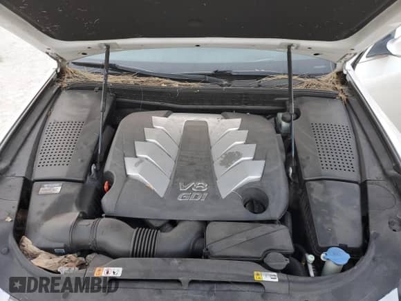 2014 Hyundai Equus Signature с VIN KMHGH4JH7EU083148, выставлен на аукционе Copart как лот 68051885 с пробегом Не указан миль и Списание • Salvage title. История ставок и продаж доступна на DreamBid. Изображение 11.