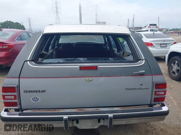 1986 Chevrolet Caprice с VIN 1G1BN35Y3GX198075, выставлен на аукционе IAAI как лот 42616295 с пробегом 95 011 миль миль и . История ставок и продаж доступна на DreamBid. Изображение 16.