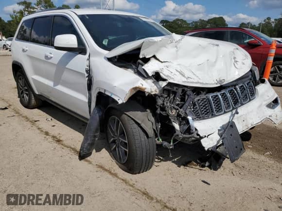 2019 Jeep Grand Cherokee Laredo E with VIN 1C4RJEAG9KC598264, listed as a Copart auction lot 87252015 with 101,546 mi miles and Salvage title. Bid and sale history available at DreamBid. Image 4.