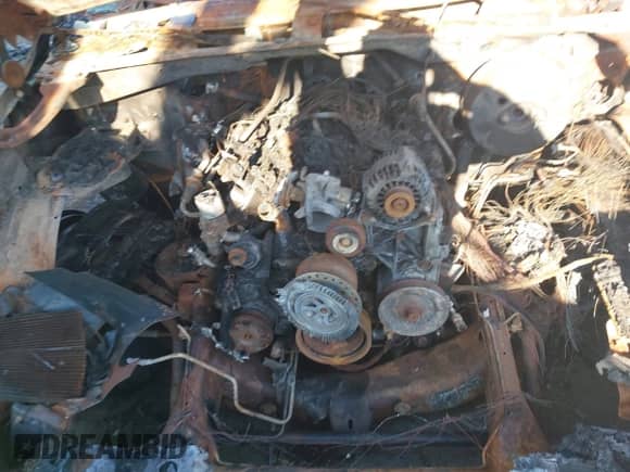 1999 GMC Sierra 1500 SL с VIN 1GTEC14V5XE850261, выставлен на аукционе IAAI как лот 41392845 с пробегом Не указан миль и . История ставок и продаж доступна на DreamBid. Изображение 10.