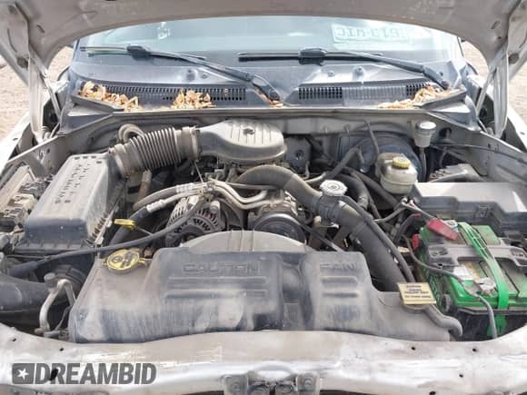 2003 Dodge Dakota with VIN 1D7HG48X23S228927, listed as a IAAI auction lot 43178638 with 150,136 mi miles and . Bid and sale history available at DreamBid. Image 10.