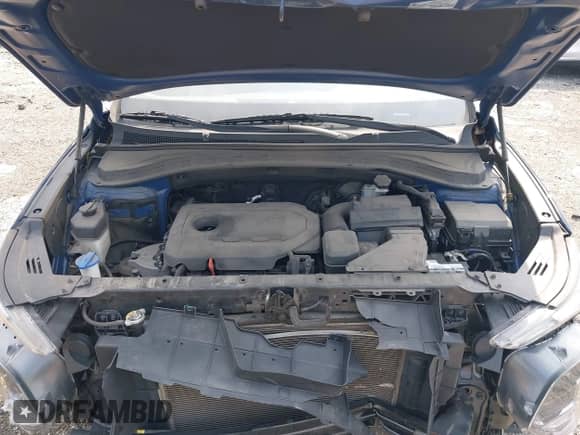 2019 Hyundai Santa Fe SE with VIN 5NMS2CAD5KH089783, listed as a IAAI auction lot 42858424 with 78,906 mi miles and . Bid and sale history available at DreamBid. Image 10.