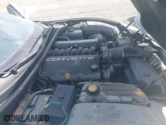1999 Chevrolet Corvette with VIN 1G1YY32G5X5103587, listed as a IAAI auction lot 42532152 with Not provided miles and . Bid and sale history available at DreamBid. Image 12.
