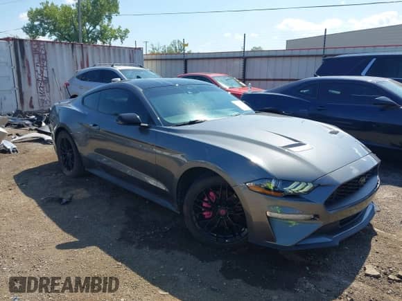 2023 Ford Mustang EcoBoost with VIN 1FA6P8TH9P5113535, listed as a IAAI auction lot 43316499 with 6,270 mi miles and . Bid and sale history available at DreamBid. Image 1.