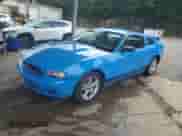 2010 Ford Mustang V6 z VIN 1ZVBP8AN8A5130882, wystawiony jako Copart lot #66067145 z przebiegiem 153 046 mil mil oraz Szkoda całkowita • Salvage title. Historia ofert i sprzedaży dostępna na DreamBid. Obrazek 1.