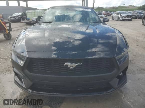 2025 Ford Mustang EcoBoost Premium с VIN 1FAGP8UH7S5120527, выставлен на аукционе Copart как лот 84264615 с пробегом 5 711 миль миль и Чистый • Clean title. История ставок и продаж доступна на DreamBid. Изображение 5.