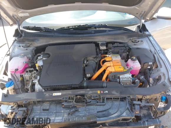 2025 Hyundai Elantra SEL Sport z VIN KMHLM4DJ2SU143499, wystawiony jako IAAI lot #42857454 z przebiegiem 8 624 mil mil oraz . Historia ofert i sprzedaży dostępna na DreamBid. Obrazek 10.