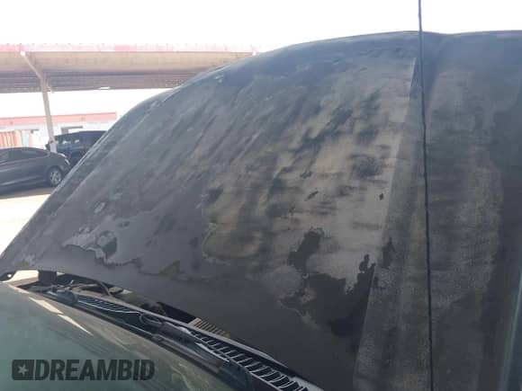 2003 Chevrolet Silverado 1500 LS with VIN 2GCEC19V931401220, listed as a IAAI auction lot 42364914 with Not provided miles and . Bid and sale history available at DreamBid. Image 13.