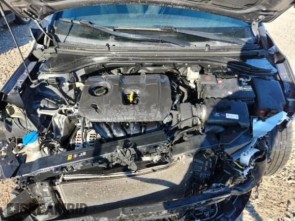 2019 Hyundai Elantra Limited with VIN KMHD84LF4KU878250, listed as a Copart auction lot 80951605 with 80,752 mi miles and Salvage title. Bid and sale history available at DreamBid. Image 11.