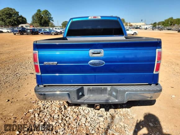 2010 Ford F-150 XL with VIN 1FTEW1C80AFC64894, listed as a Copart auction lot 82698365 with 254,163 mi miles and Clean title. Bid and sale history available at DreamBid. Image 5.