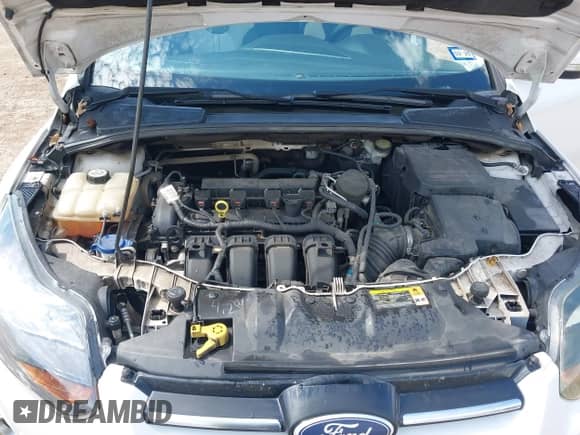 2013 Ford Focus Titanium with VIN 1FADP3J24DL167180, listed as a IAAI auction lot 43341503 with 225,042 mi miles and . Bid and sale history available at DreamBid. Image 10.