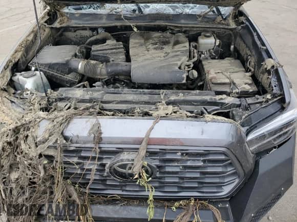 2021 Toyota Tacoma SR with VIN 3TMCZ5AN8MM446037, listed as a Copart auction lot 80966695 with Not provided miles and Salvage title. Bid and sale history available at DreamBid. Image 11.