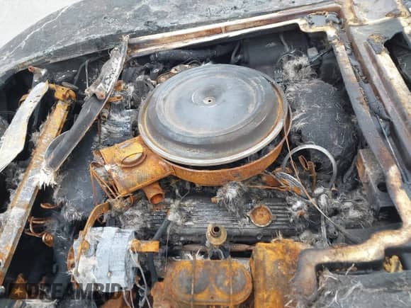 1981 Chevrolet Corvette с VIN 1G1AY8760BS430696, выставлен на аукционе IAAI как лот 41482473 с пробегом Не указан миль и . История ставок и продаж доступна на DreamBid. Изображение 10.