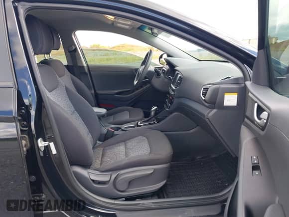 2017 Hyundai Ioniq Blue z VIN KMHC65LC1HU030266, wystawiony jako IAAI lot #42986883 z przebiegiem 187 418 mil mil oraz . Historia ofert i sprzedaży dostępna na DreamBid. Obrazek 5.