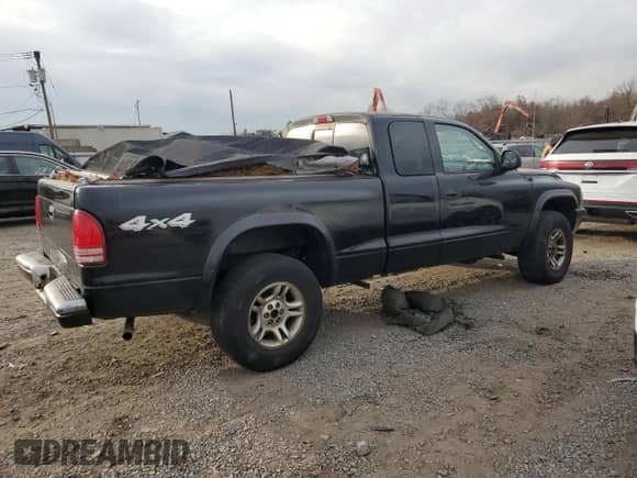 2003 Dodge Dakota с VIN 1D7HG32X93S273172, выставлен на аукционе Copart как лот 80704424 с пробегом 141 409 миль миль и Списание • Salvage title. История ставок и продаж доступна на DreamBid. Изображение 3.