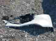 2025 Mazda CX-5 S Select с VIN JM3KFBBL5S0636109, выставлен на аукционе IAAI как лот 43105213 с пробегом 13 450 миль миль и . История ставок и продаж доступна на DreamBid. Изображение 12.