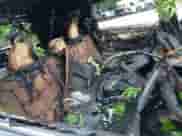 2017 Nissan Murano S with VIN 5N1AZ2MG2HN187958, listed as a IAAI auction lot 42110101 with Not provided miles and . Bid and sale history available at DreamBid. Image 8.