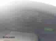 2007 Ford F-150 XLT with VIN 1FTPX04597KB14853, listed as a IAAI auction lot 42581346 with 159,071 mi miles and . Bid and sale history available at DreamBid. Image 7.