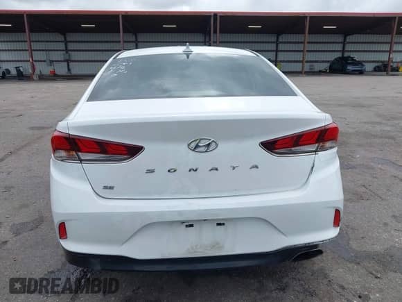 2019 Hyundai Sonata SE z VIN 5NPE24AFXKH801535, wystawiony jako IAAI lot #43384476 z przebiegiem 121 297 mil mil oraz . Historia ofert i sprzedaży dostępna na DreamBid. Obrazek 16.