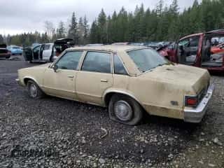 1979 Chevrolet Malibu с VIN 1W19J9K439407, выставлен на аукционе Copart как лот 48776395 с пробегом 47 010 миль миль и Чистый • Clean title. История ставок и продаж доступна на DreamBid. Изображение 2.