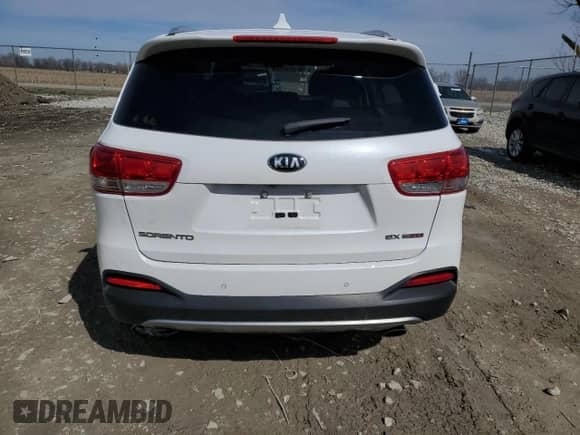 2018 Kia Sorento EX with VIN 5XYPH4A11JG398658, listed as a Copart auction lot 50079005 with 60,734 mi miles and Salvage title. Bid and sale history available at DreamBid. Image 6.