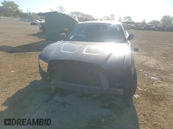2014 Dodge Charger SXT with VIN 2C3CDXHGXEH232141, listed as a Copart auction lot 84556645 with 167,659 mi miles and Salvage title. Bid and sale history available at DreamBid. Image 14.