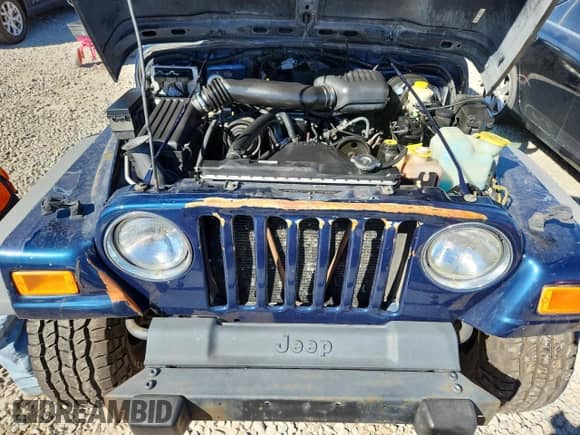 2001 Jeep Wrangler SE with VIN 1J4FA29PX1P372693, listed as a Copart auction lot 83862835 with 132,933 mi miles and Clean title. Bid and sale history available at DreamBid. Image 11.