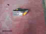 2016 Ram 1500 Big Horn z VIN 3C6RR7LT1GG163720, wystawiony jako Copart lot #80637745 z przebiegiem 135 907 mil mil oraz Szkoda całkowita • Salvage title. Historia ofert i sprzedaży dostępna na DreamBid. Obrazek 13.